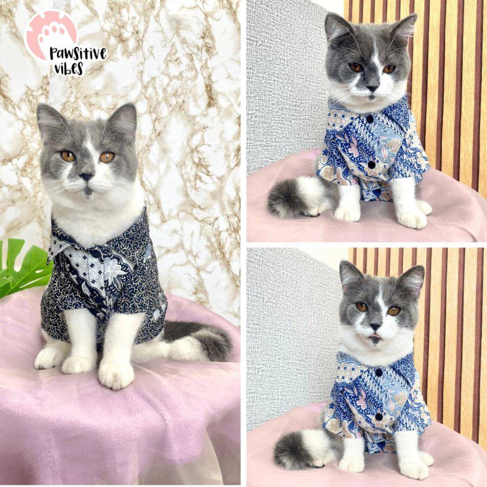 rekomendasi baju kucing lucu dan murah (shopee.co.id/PAWSITIVE VIBES)
