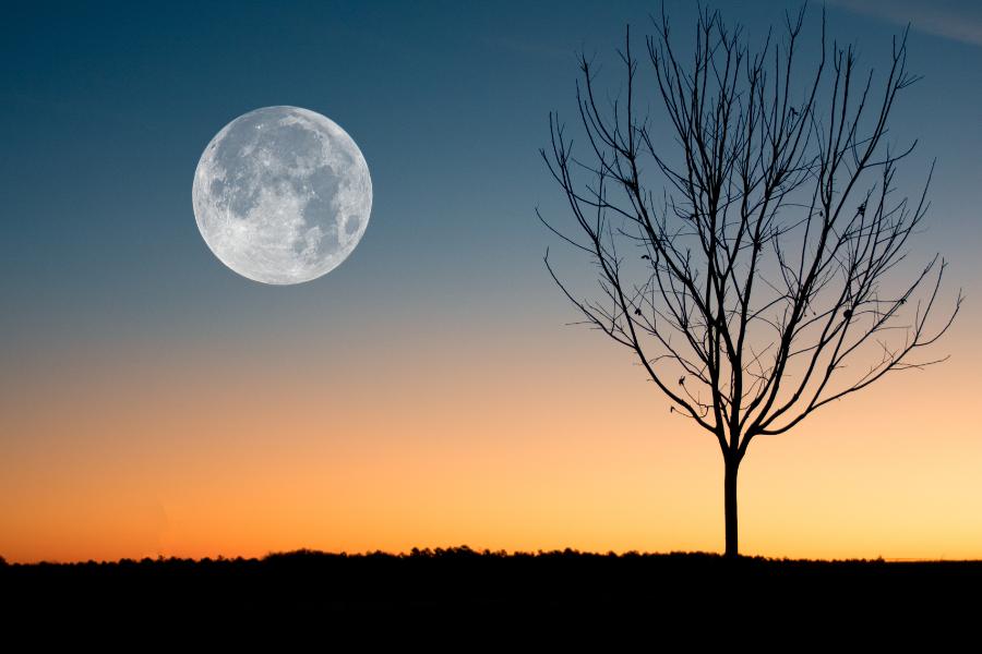 [QUIZ] Manifesting Fullmoon, Tahun Depan Kamu Bakal Liburan ke Negara Ini!
