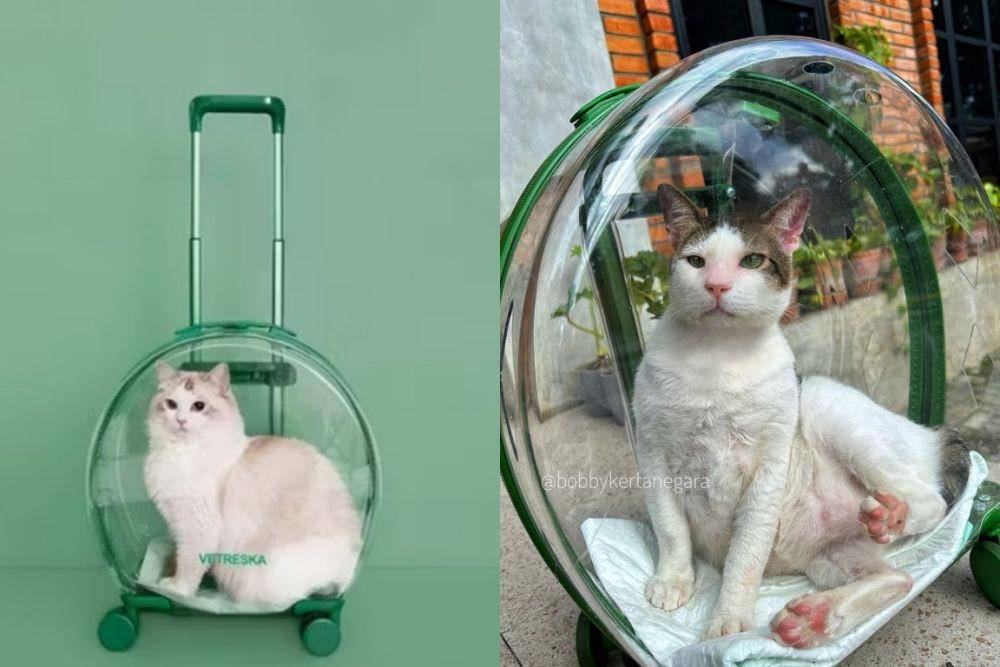 Tas kucing (shopee.id/tail lovers)