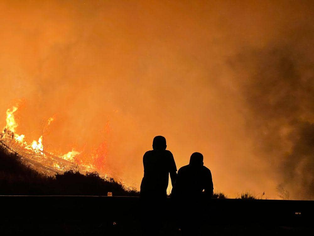 Kebakaran hutan akibat perubahan iklim (pexels.com/Recep Tayyip Çelik)