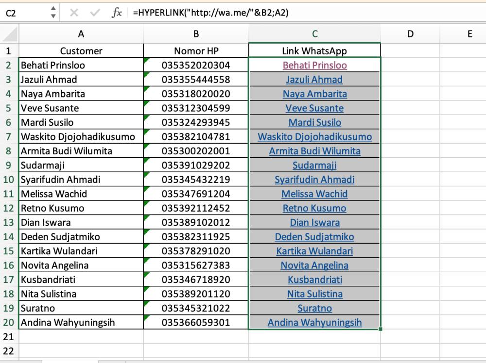 Menautkan semua cell pada Excel dengan menyeret bingkai pada cell yang akan diisi link WA (dok.pribadi/Reyvan Maulid)