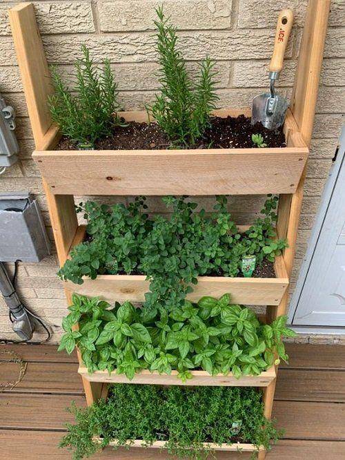 Ide kreatif menaman sayur di dapur (Pinterest.com/Balcony Garden Web)