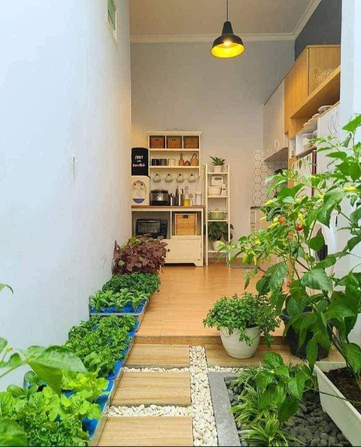 Ide kreatif menanam sayur di dapur. (Pinterest.com/Miskaya)