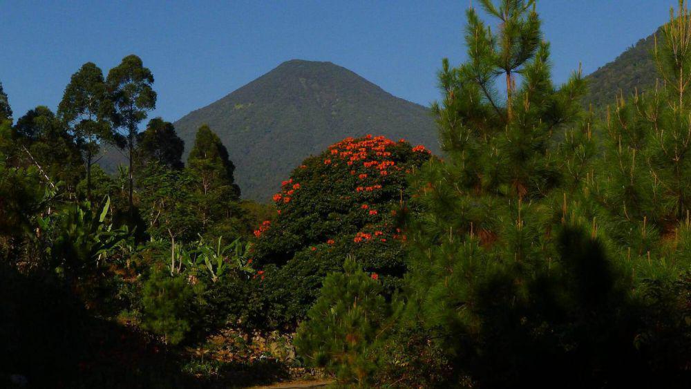 5 Gunung 1.000 mdpl di Jawa Barat dengan Spot Foto Instagramable