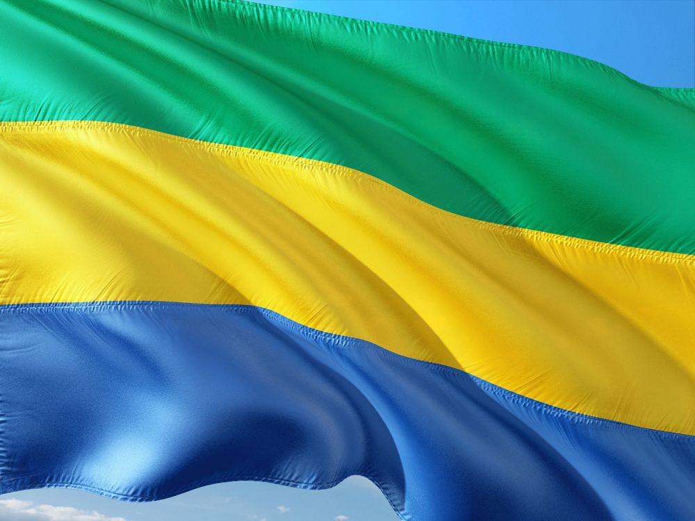 Gabon Gelar Referendum untuk Memilih Konstitusi Baru