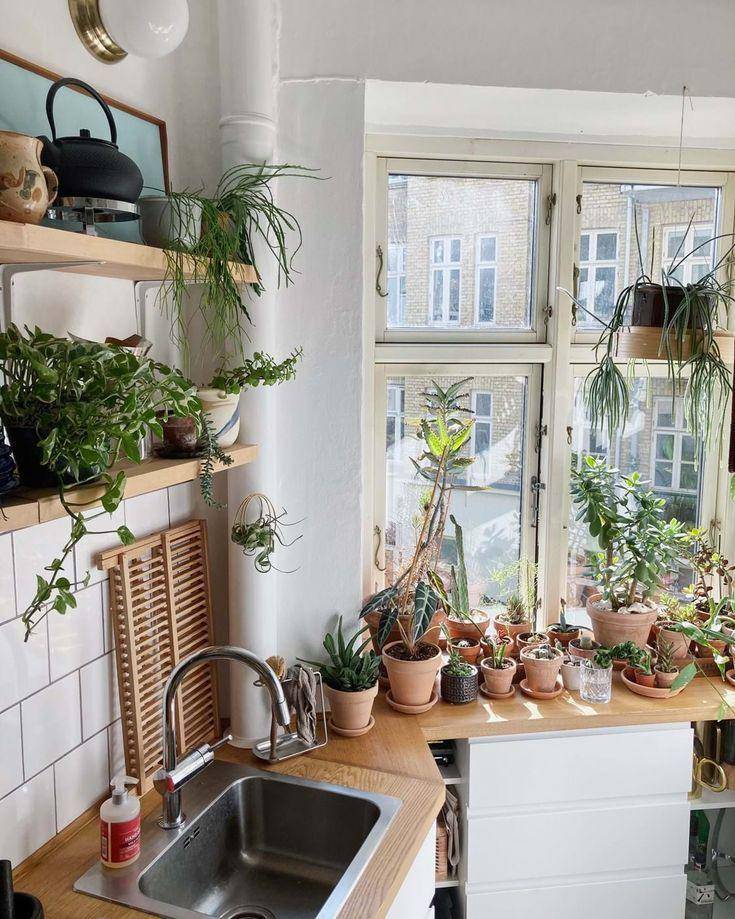 Ide kreatif menaman sayur di dapur (Pinterest.com/alt.dk)