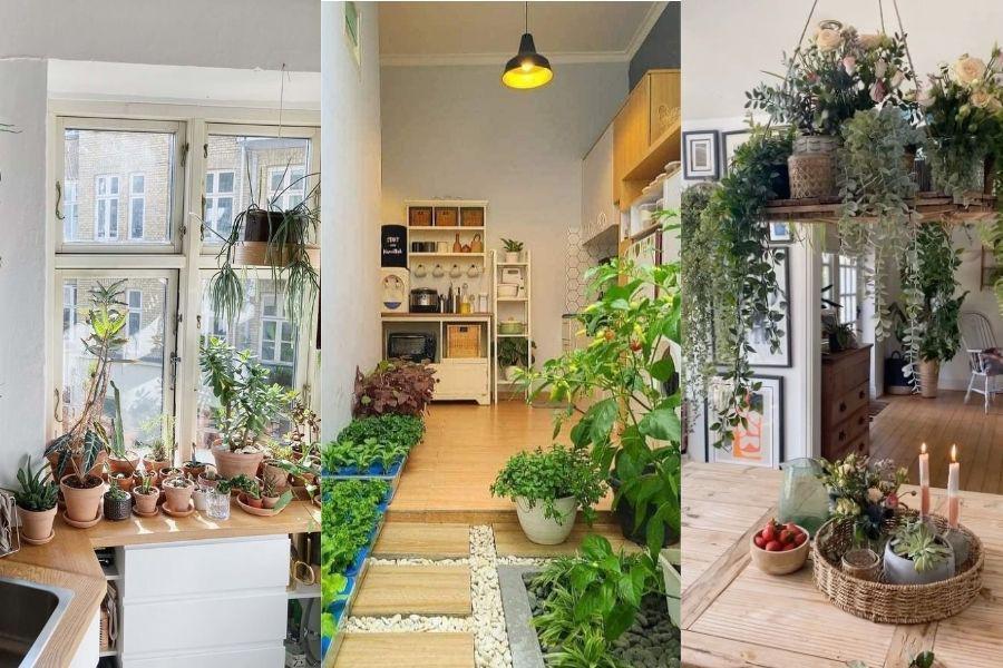 8 Ide Kreatif Menanam Sayur di Dapur, Hemat Lahan!