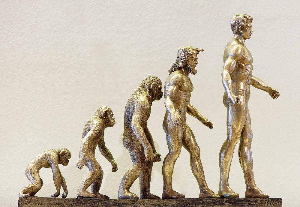 ilustrasi evolusi (pixabay.com/Alexas_Fotos)