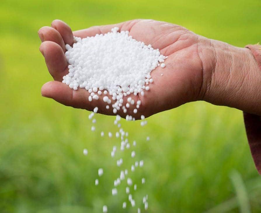 Memasuki Musim Tanam Padi, Harga Tebus Pupuk Subsidi di Lotim Melonjak
