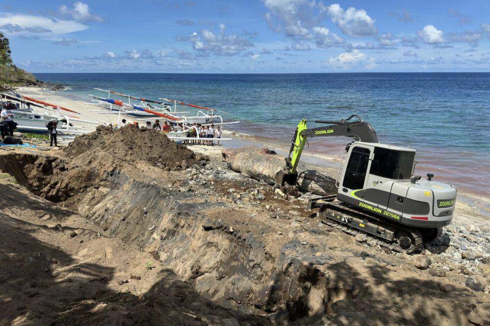 Penemun bangkai Paus Sperma di Karangasem (Dok.IDN Times/BKSDA Bali)