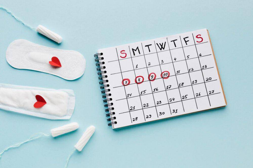 ilustrasi siklus menstruasi (freepik.com/freepik)