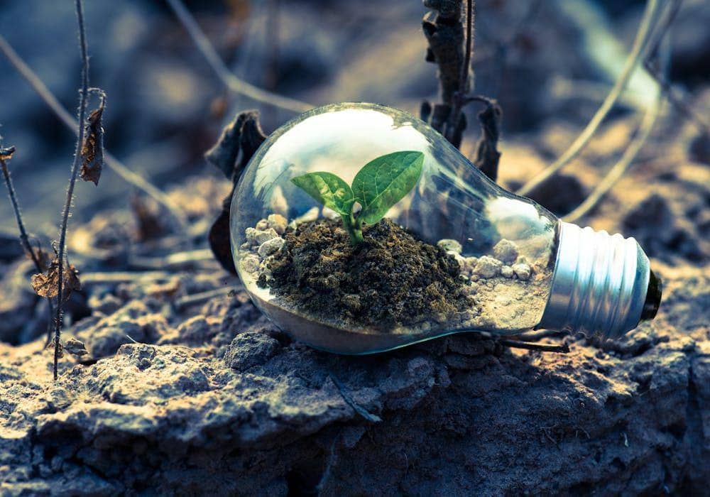 Mengenal Greenwashing dan Cara Menghindarinya Saat Belanja