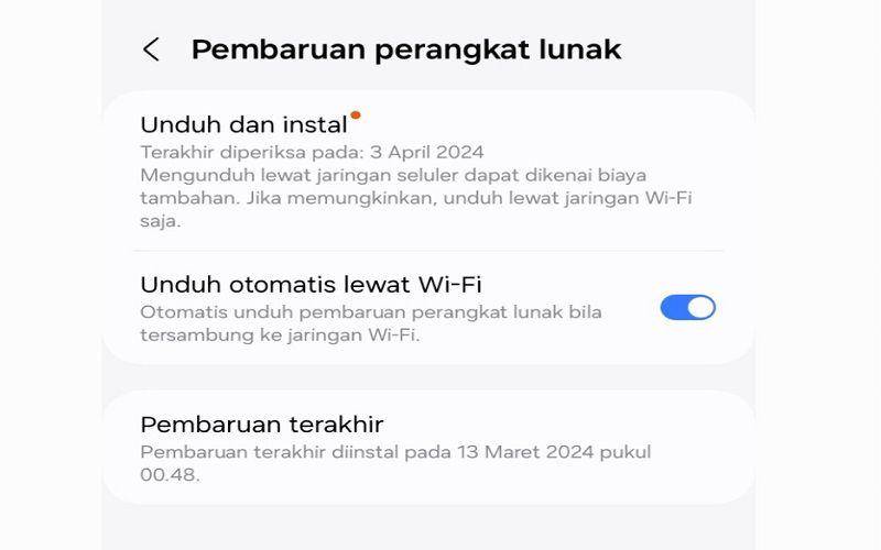 cara mengatasi Android lemot tanpa harus reset HP (dok. pribadi/Jubaedah Haryani)