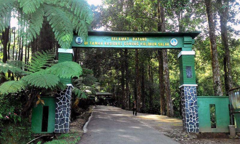 Camping Ground Gunung Bunder Halimun Salak (https://wisatahalimun.co.id/)