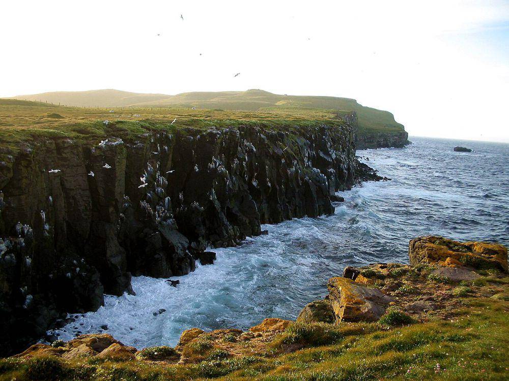 Grimsey Island (commons.wikimedia.org/MosheA)
