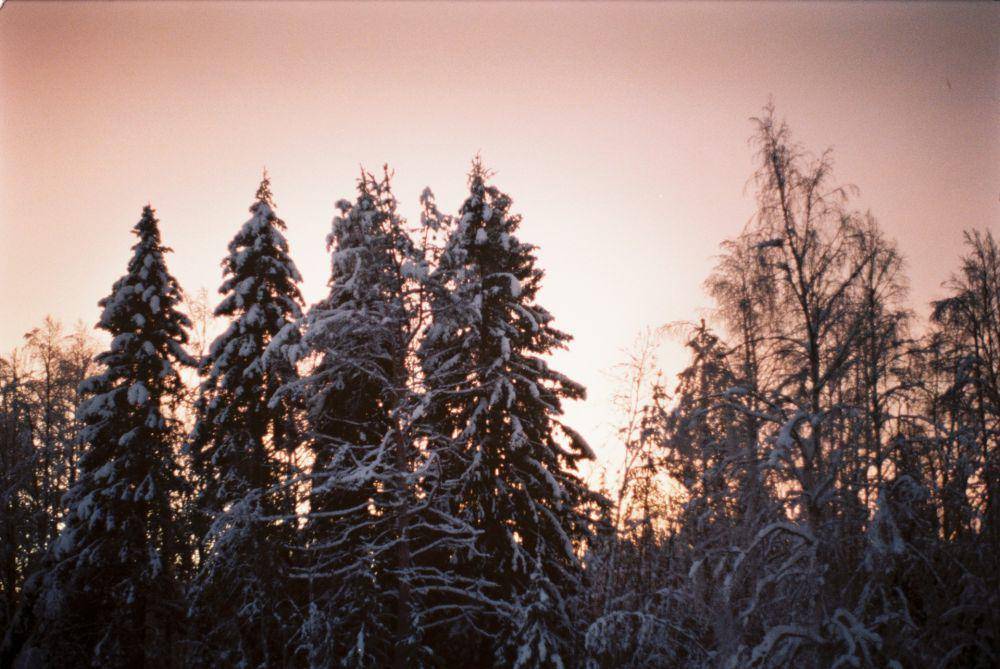Lapland (unsplash.com/Sasha Mk)