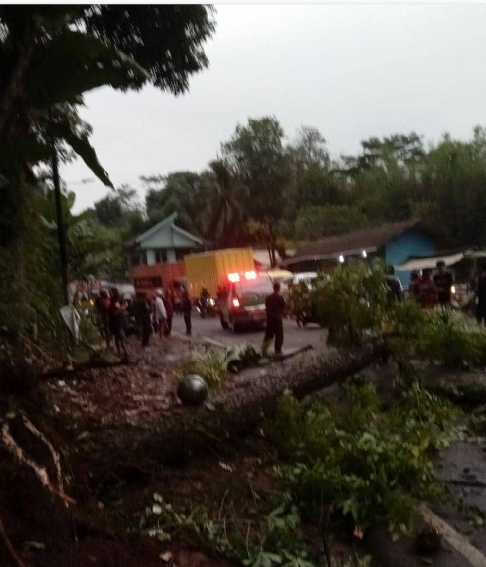 Pengendara Motor Tewas Tertimpa Pohon Tumbang di Bandung Barat