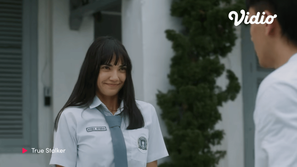 True Stalker (dok. Screenplay Film / True Stalker)