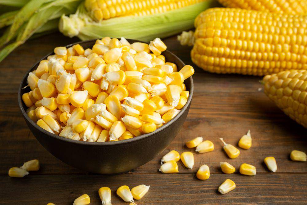 ilustrasi jagung (freepik.com/jcomp)