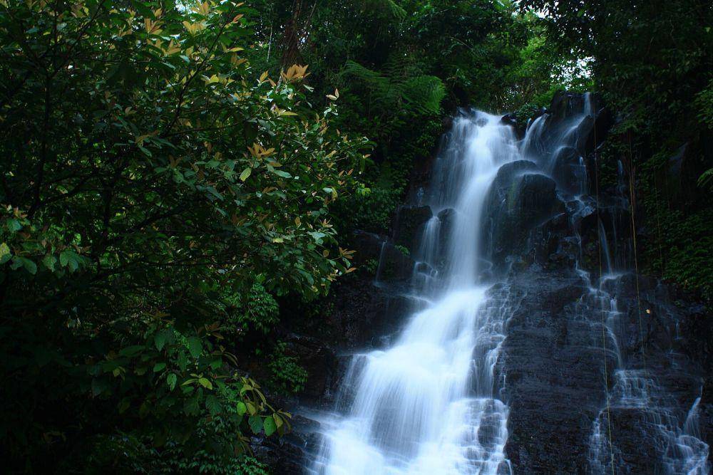 Curug Cipurut (https://commons.wikimedia.org/)