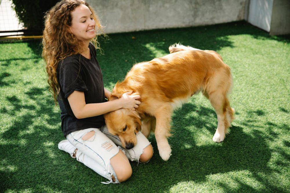 8 Cara Menghilangkan Kutu Anjing Paling Mudah