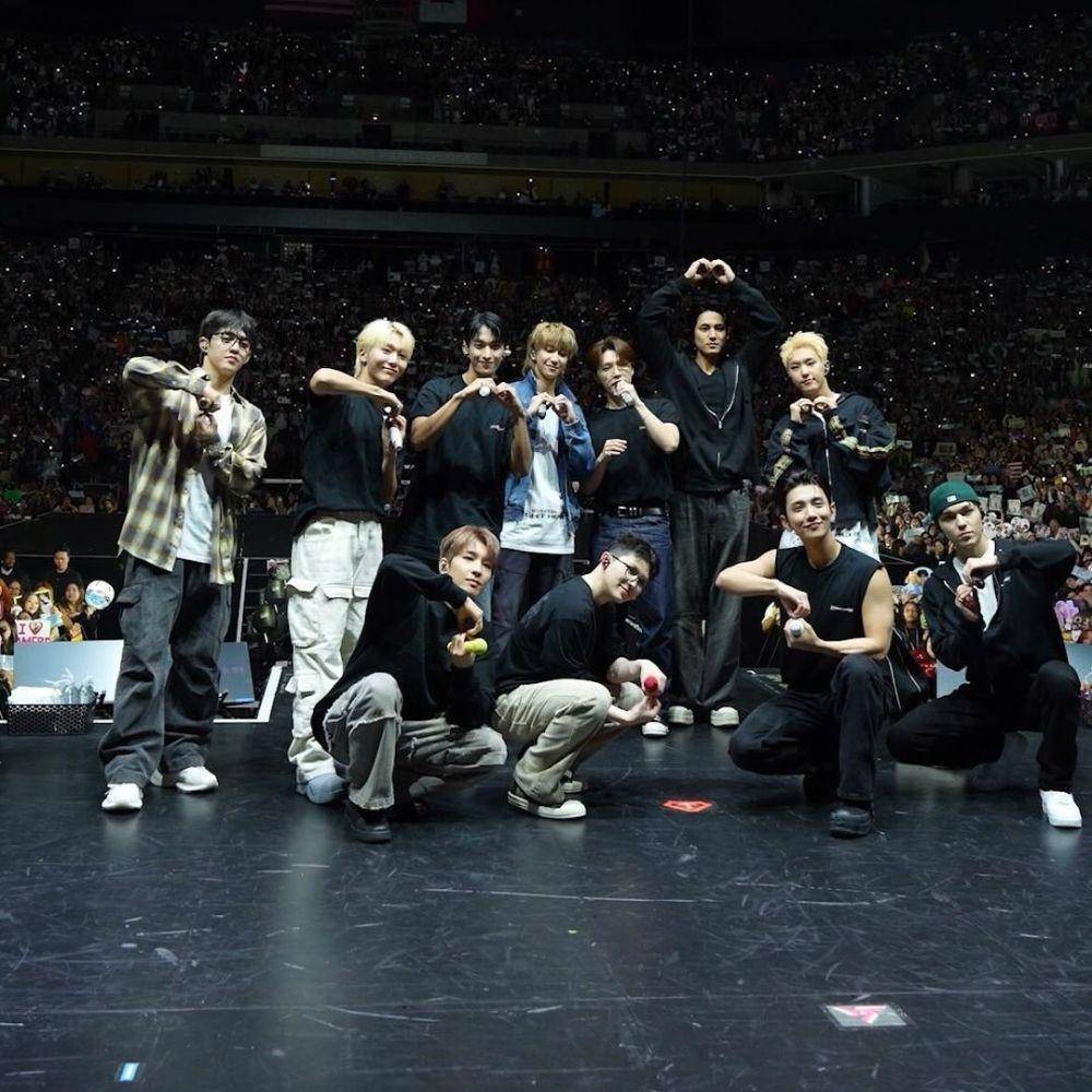 harga tiket SEVENTEEN [Right Here] World Tour Japan (instagram.com/saythename_17)