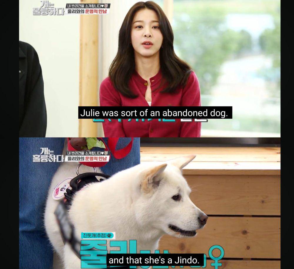 Seol In Ah (youtube.com/KBS WORLD TV)
