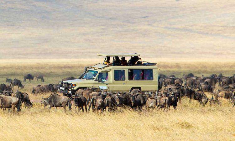 potret Taman Nasional Serengeti (https://www.safarisrwandasafari.com/information/a-complete-guide-to-exploring-serengeti-national-park/)