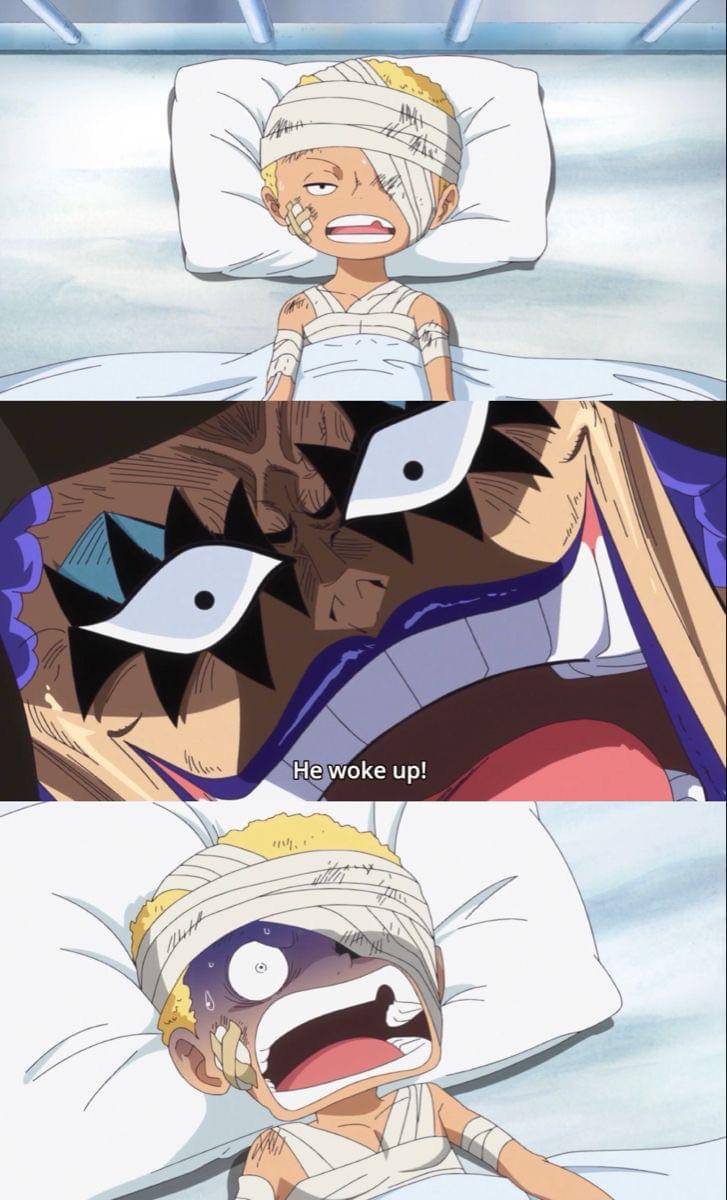 potret meme Sabo (reddit.com/user/hana-hana-no-mi)