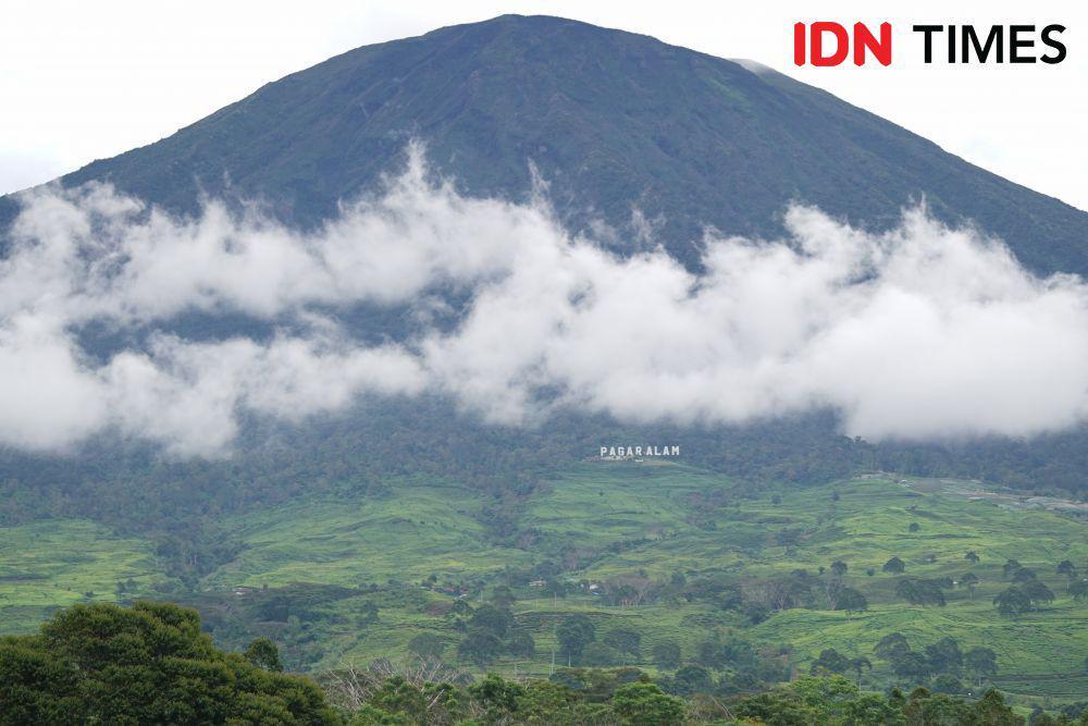 Pasca Erupsi, Jalur Pendakian Gunung Dempo Pagaralam Ditutup