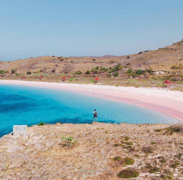 Pemandangan Pantai Pink Desa Lambu, Kec. Lambu, Kab Bima (Pinterest.com/liburmulu.com)