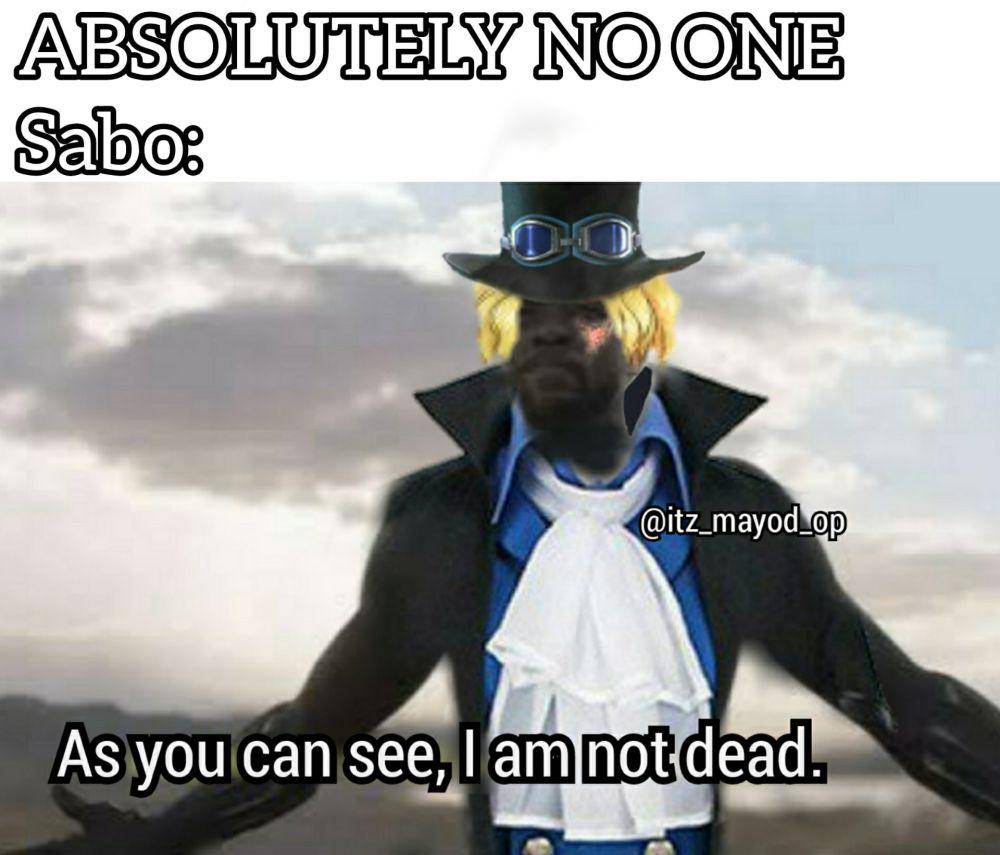 potret meme Sabo (reddit.com/user/Majudiam)