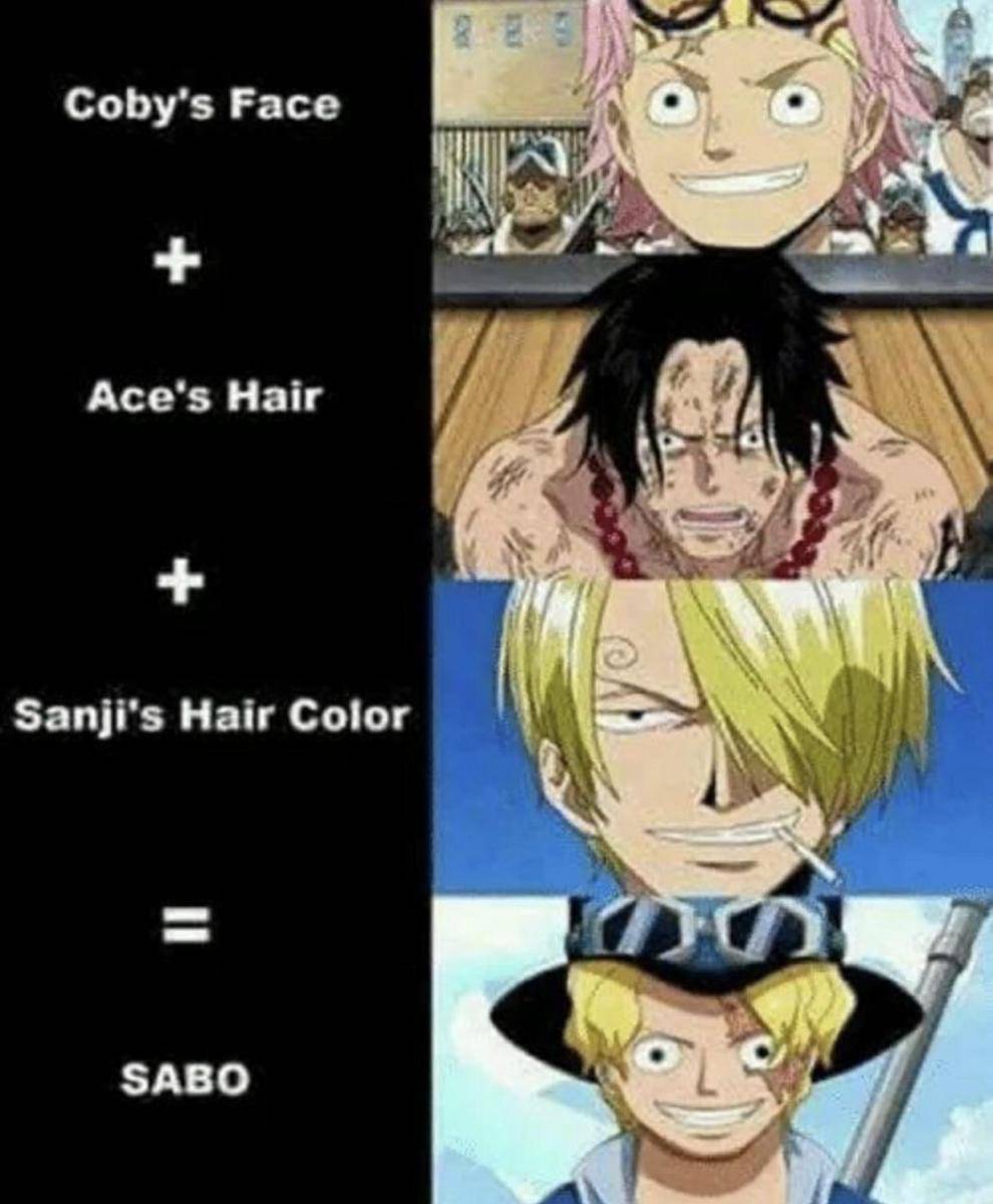 potret meme Sabo (reddit.com/user/Bossun94)