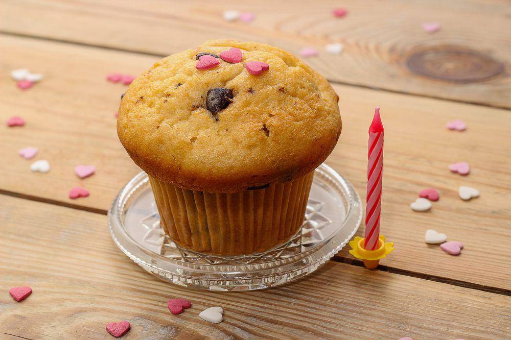 ilustrasi muffin oat (pixabay.com/guvo59)