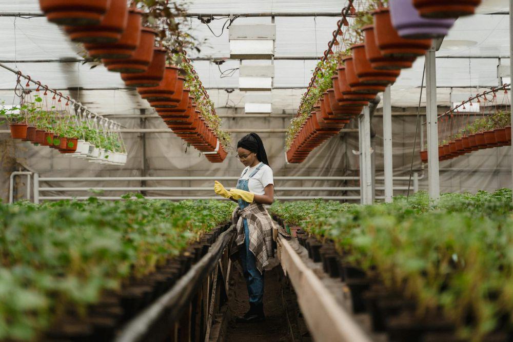 7 Tren Berkebun di Tahun 2025, Kamu Gak Boleh Ketinggalan
