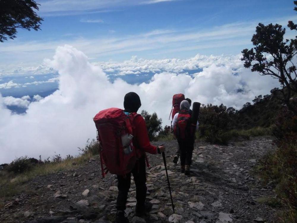 Pendaki Gunung Dempo Mulai Muncak untuk Rayakan Pergantian Tahun