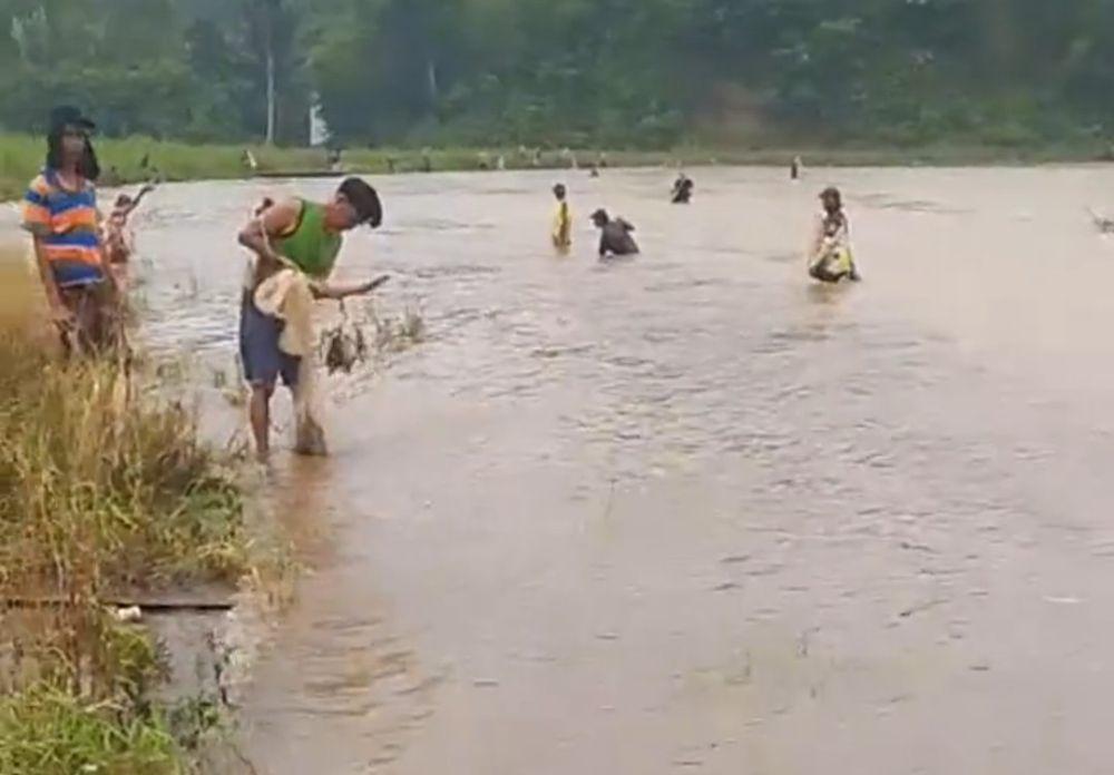 Momen Ketubean, Kondisi Ikan Mabuk Saat Aktivitas Vulkanik Gunung Dempo