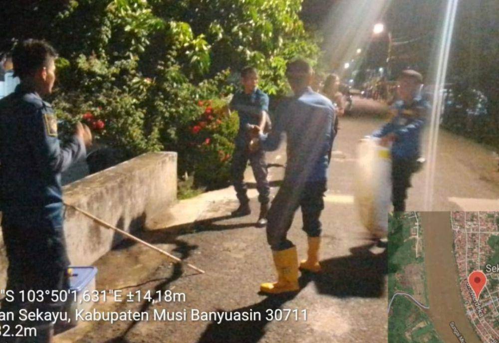 Damkar Muba Evakuasi Ular Piton Sepanjang 3 Meter di Pemukiman Warga. (Dok. Damkar Muba)