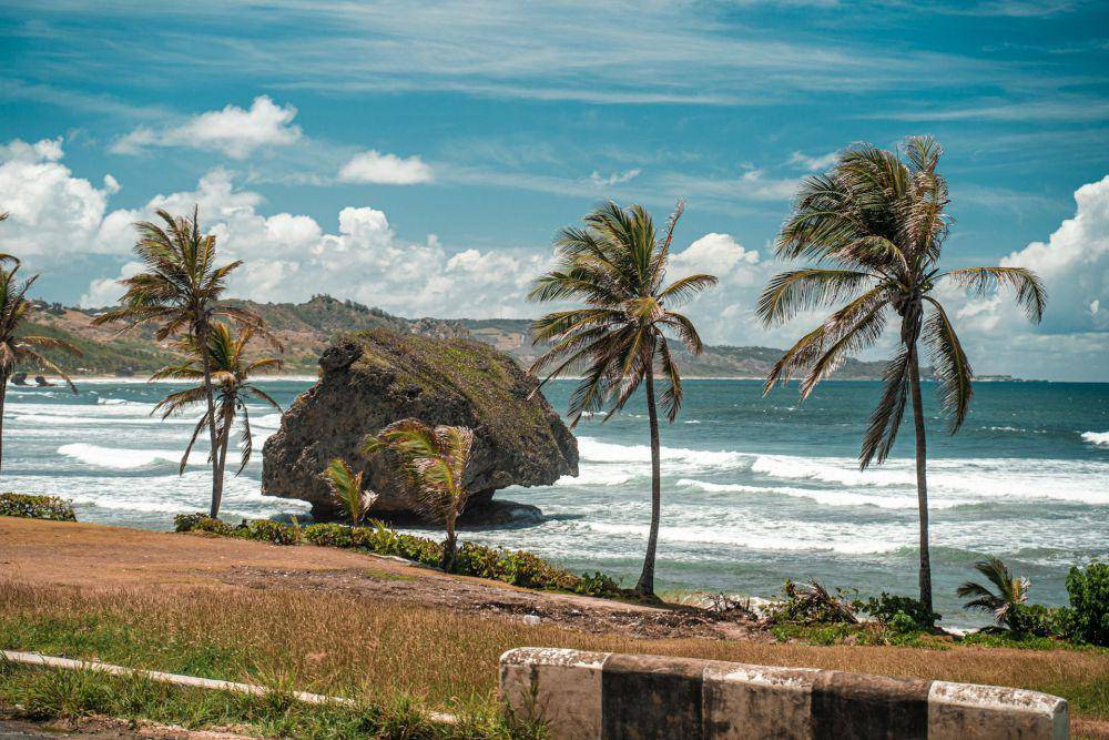 Barbados (unsplash.com/Desmond Lingard)