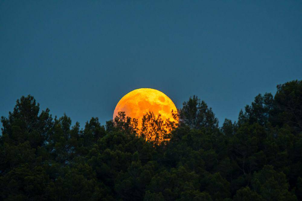ilustrasi Bulan (pixabay.com/JoanjoCastello)