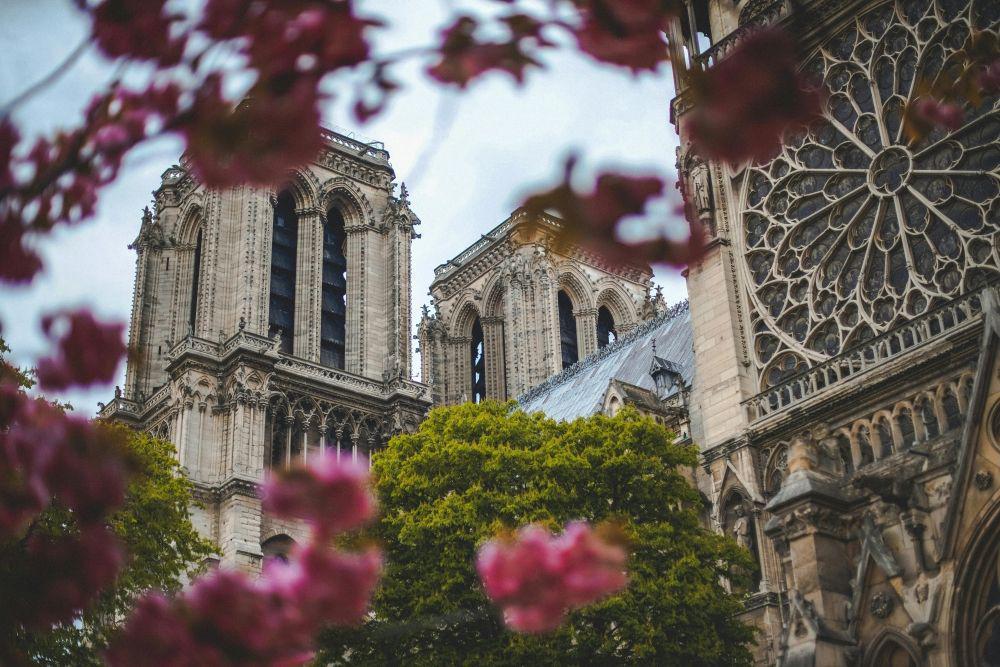 Katedral Notre Dame Dibuka Lagi Per 7 Desember, Ini 10 Potretnya!