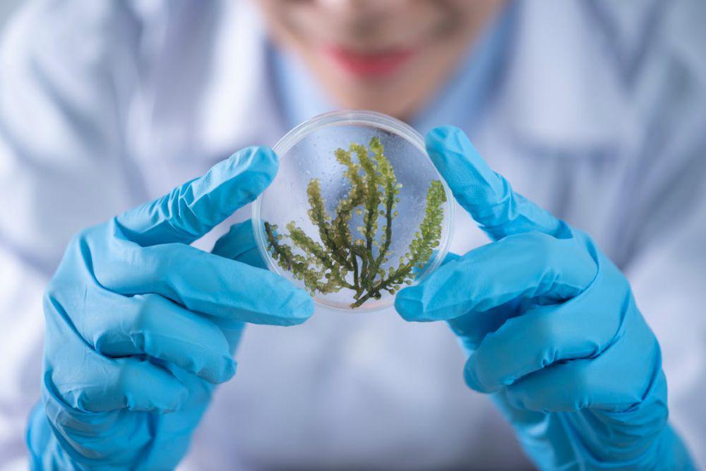 15 Soal PAS Biologi Kelas 11 Semester 1, Dilengkapi Penjelasannya