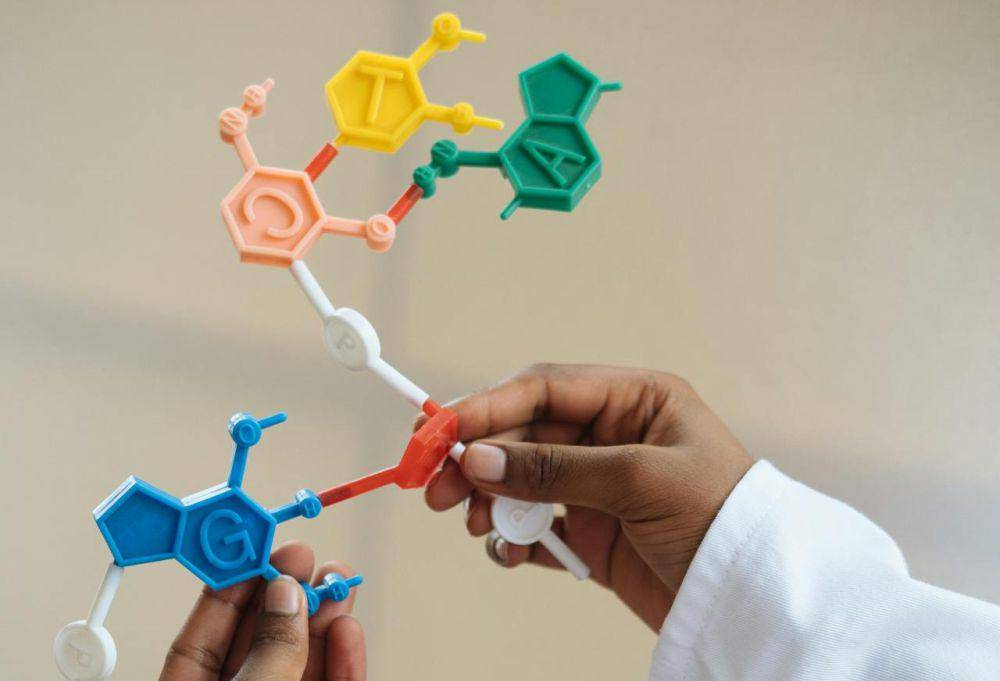ilustrasi kelas biologi (pexels.com/ RF._.studio)