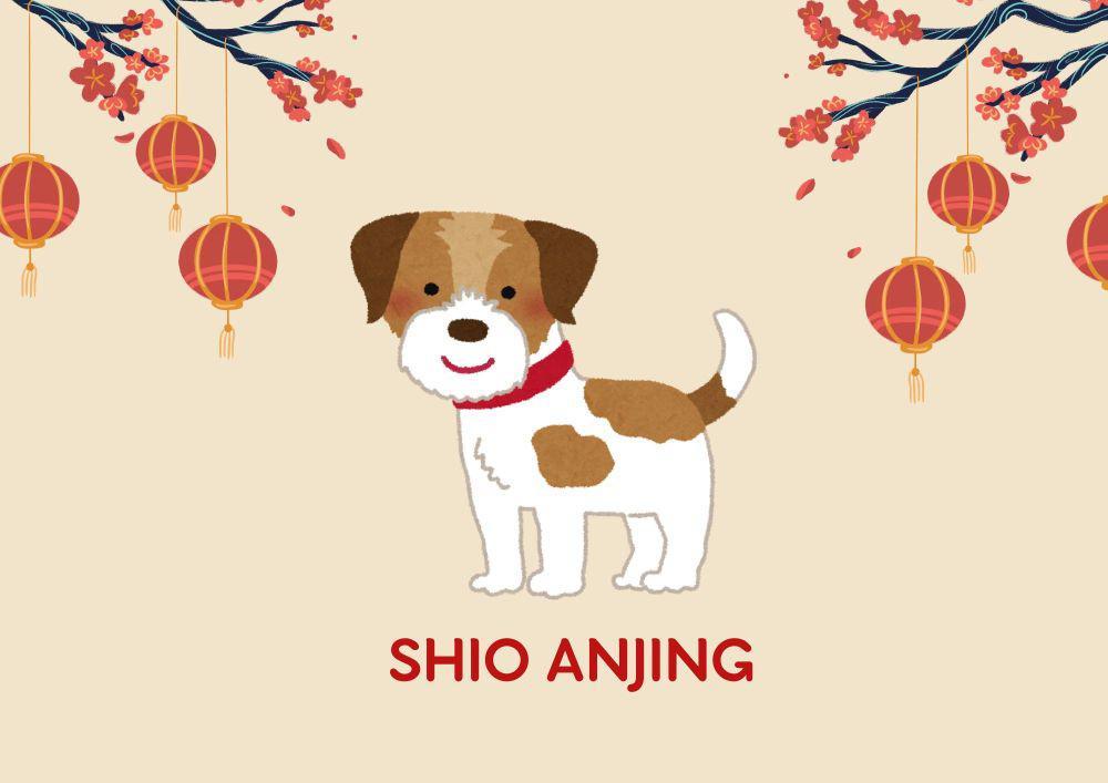 Ramalan Shio Anjing Tahun 2025, Harus Jaga Kesehatan Mental