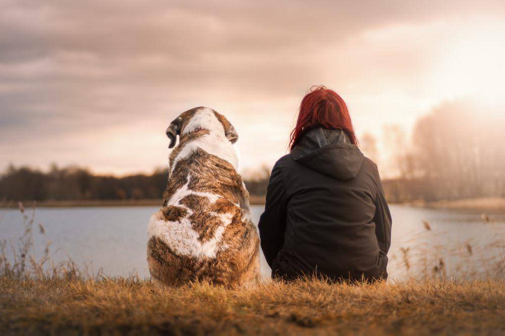 Foto hanya ilustrasi. pixabay.com/Seaq68