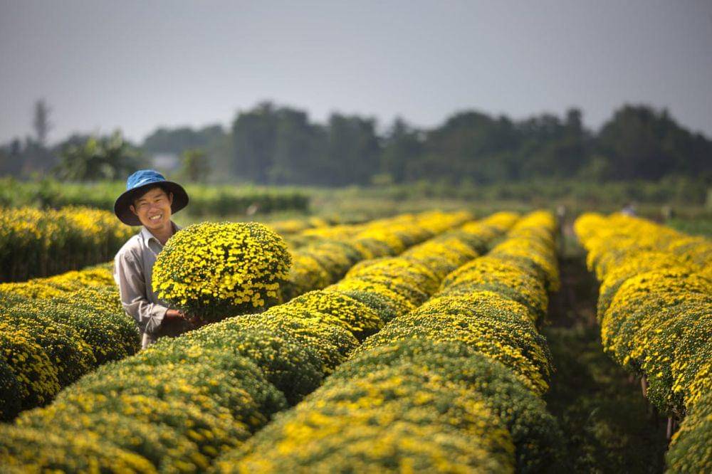 ilustrasi pertanian (pexels.com/Quang Nguyen Vinh)