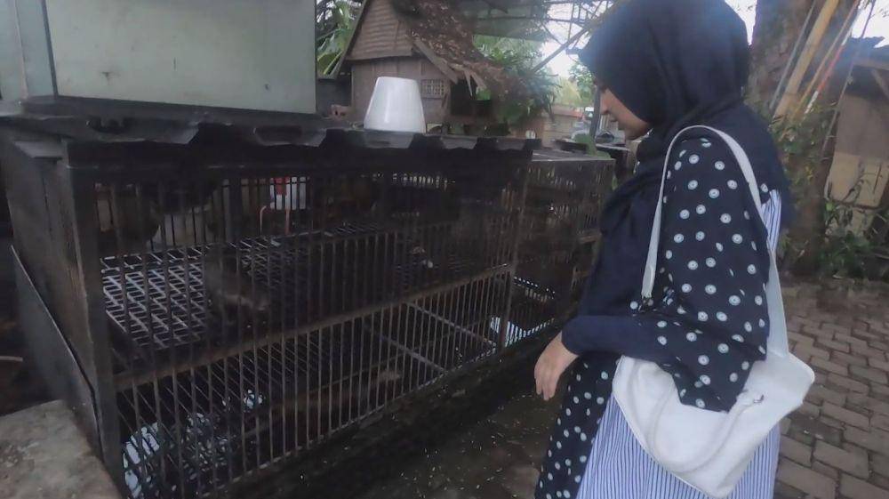 rumah Rano Karno (YouTube.com/The Sungkars)