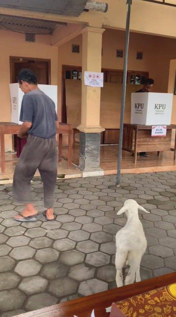 kejadian lucu di TPS (tiktok.com/@pras.unna.kirana)