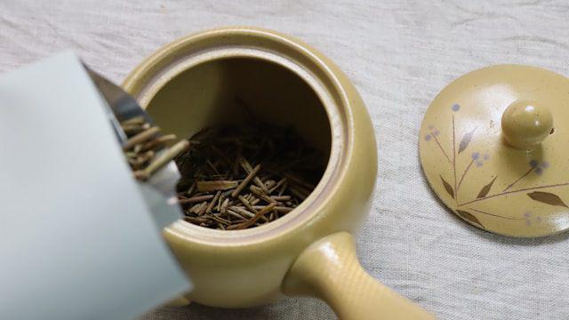 Dari Hojicha hingga Genmaicha, Jelajahi Roasted Tea Asal Jepang