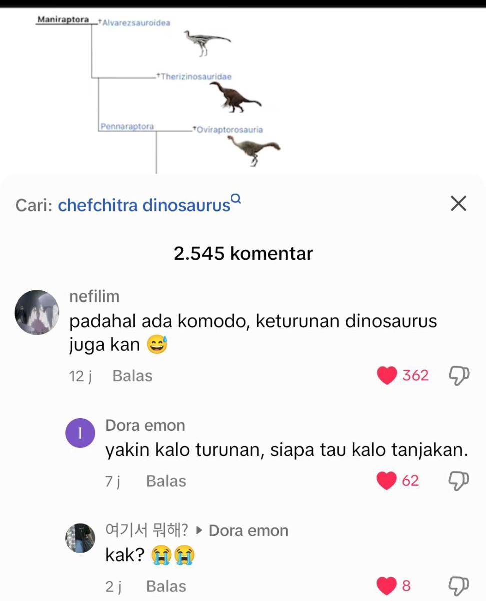 komentar asbun di TikTok (x.com/akunoppicial)